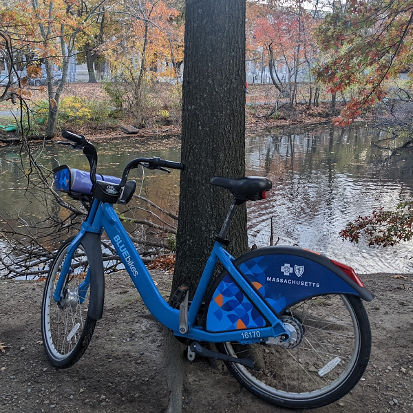 A blue bike parked against a tree