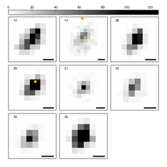 [Create a grid of thumbnail images of Chandra sources]
