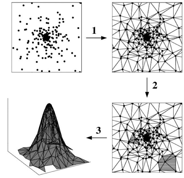 [Print media version: schematic of Delaunay tessellation field estimator steps]
