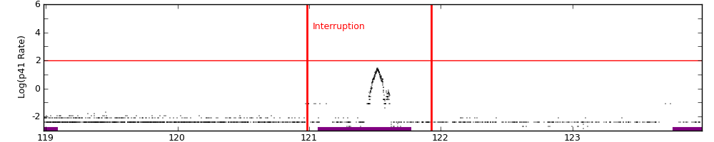 intro plot